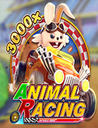 เกม ไพ่ป๊อก เด้ง ออนไลน์ ทดลองเล่น ฟินๆ ไม่ต้องลงทุน